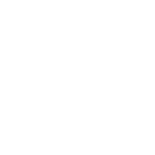 2. Sunflowe
